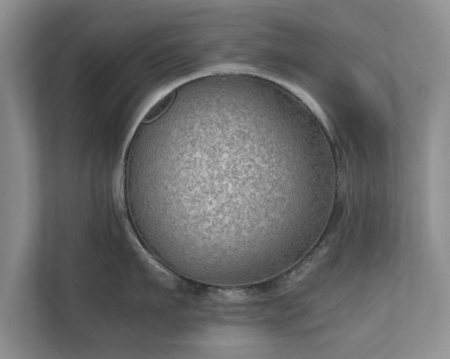 X0000110890911200906251315