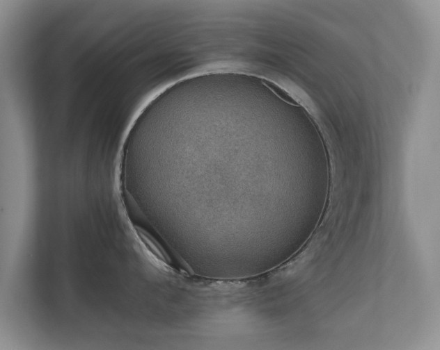 X0000110890912200906251315