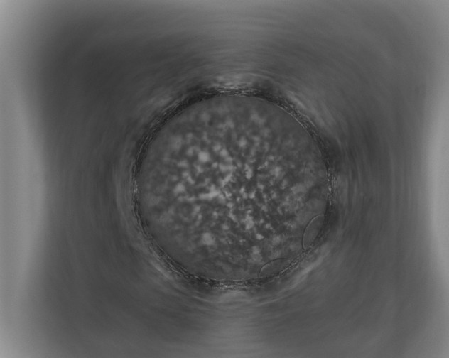 X0000110890913200906251314