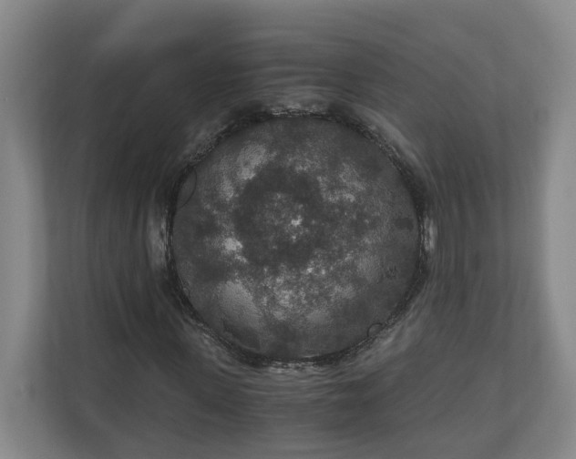 X0000110890915200906251314
