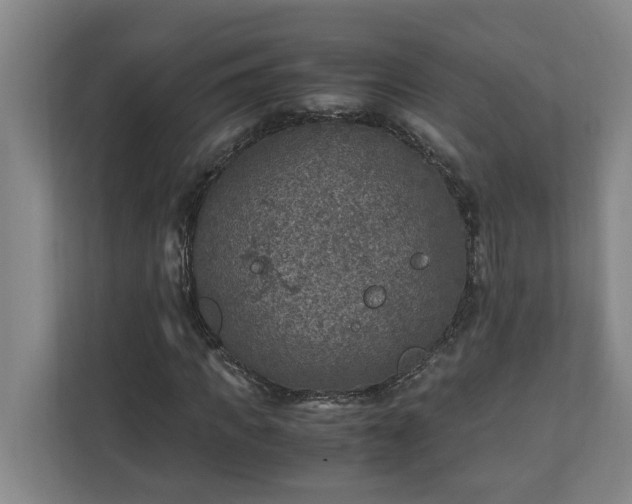 X0000110890917200906251314