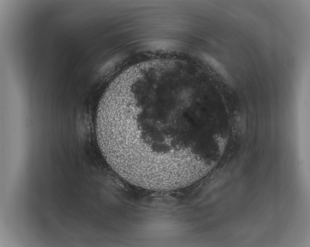 X0000110890918200906251314