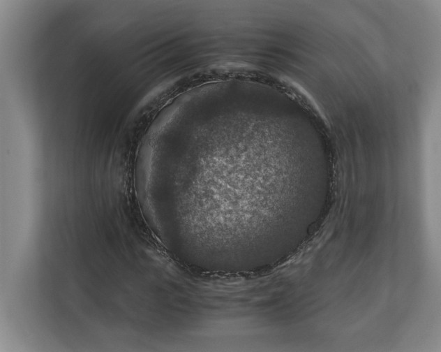 X0000110890919200906251314