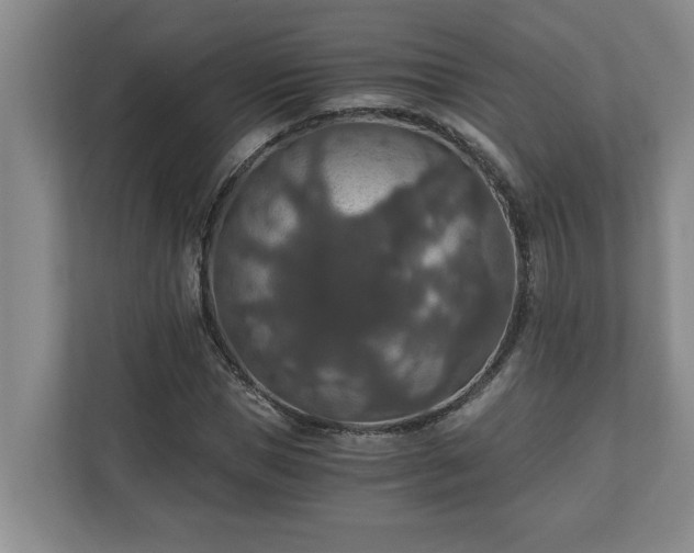 X0000110890921200906251314