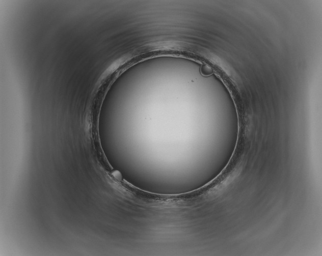 X0000110890922200906251314
