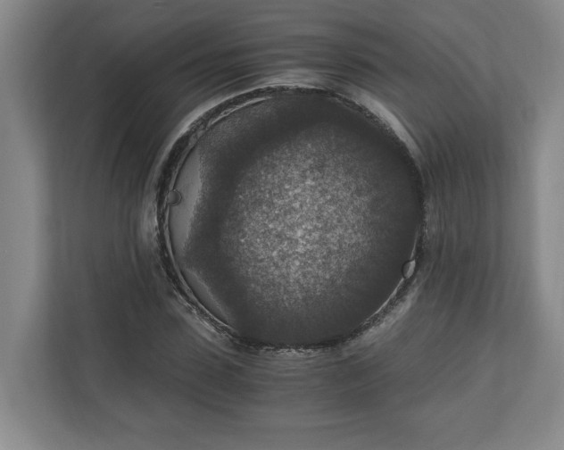X0000110890923200906251314