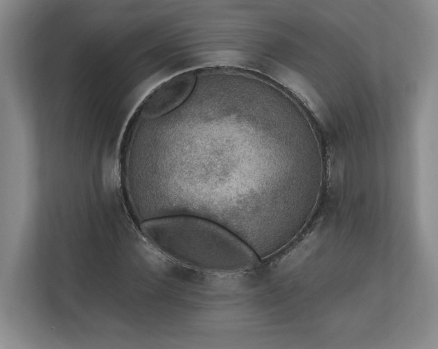 X0000110890924200906251314