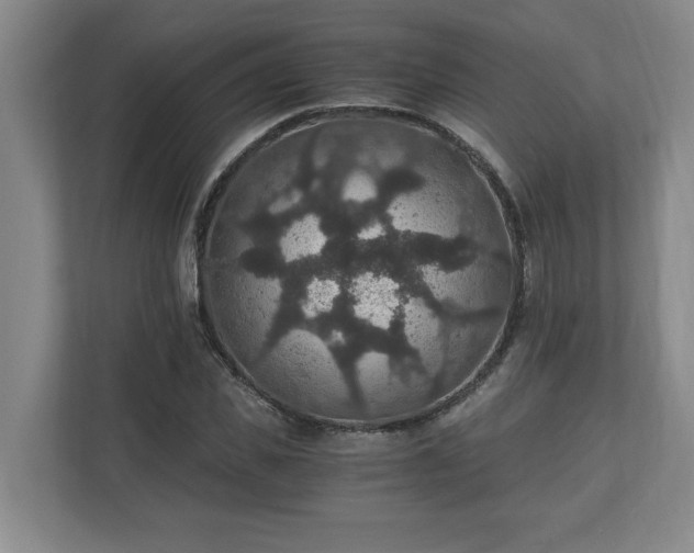 X0000110890925200906251314