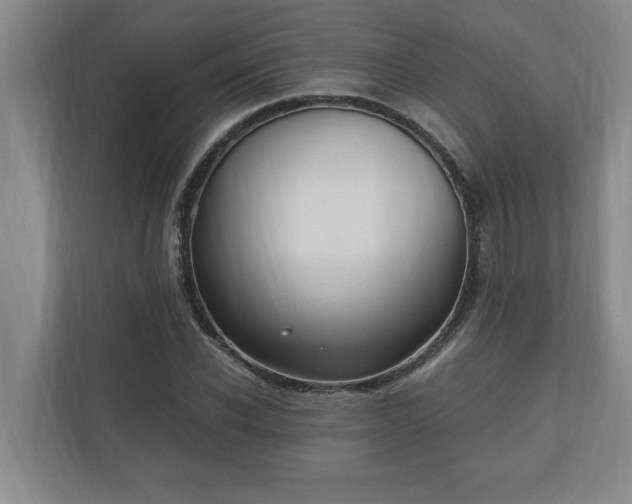 X0000110890926200906251314