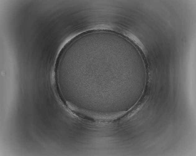 X0000110890928200906251314
