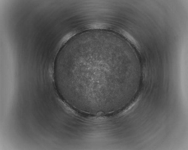 X0000110890930200906251314