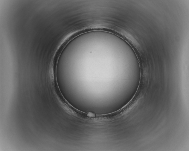 X0000110890934200906251314