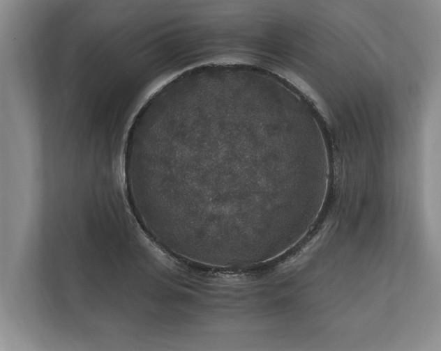 X0000110890935200906251314