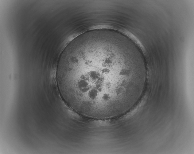 X0000110890937200906251314