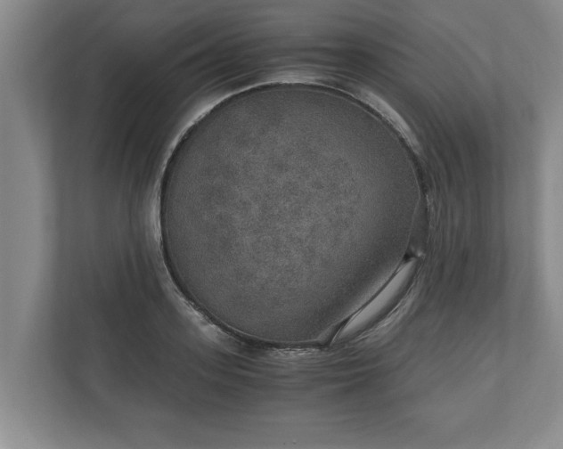 X0000110890939200906251314