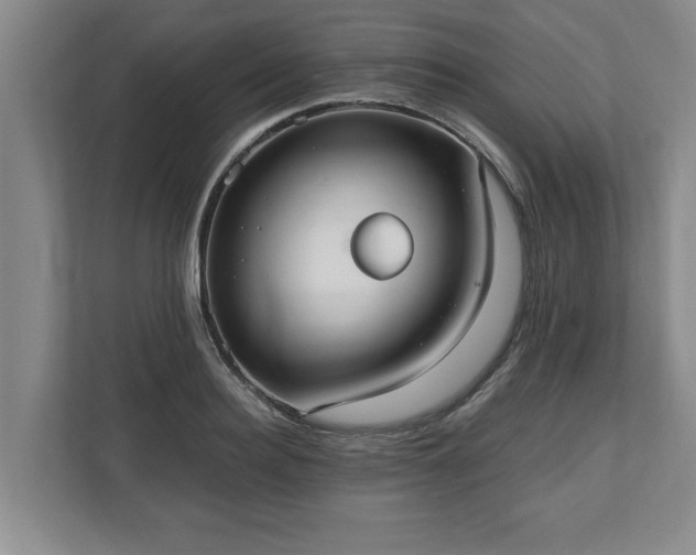 X0000110890940200906251314