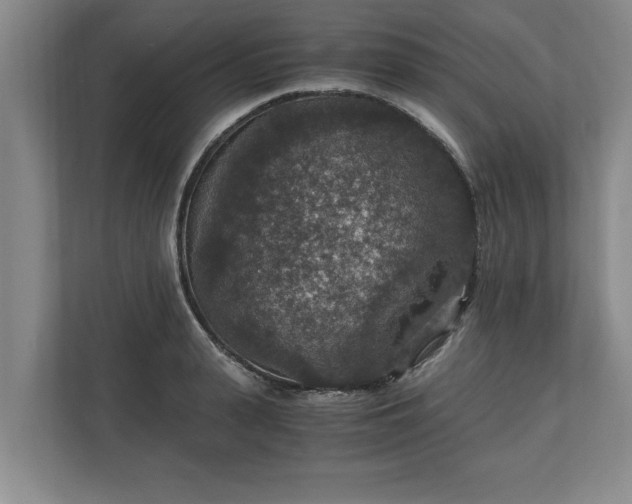 X0000110890943200906251314