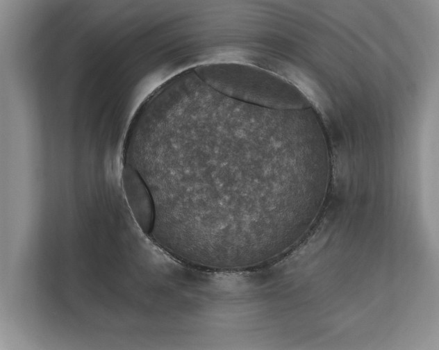 X0000110890944200906251314