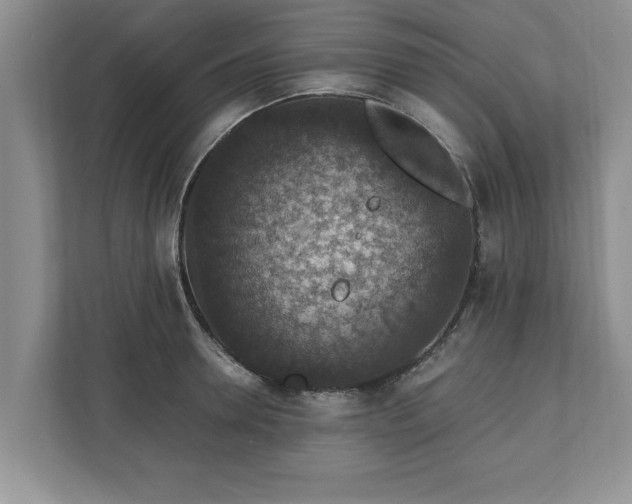 X0000110890946200906251315