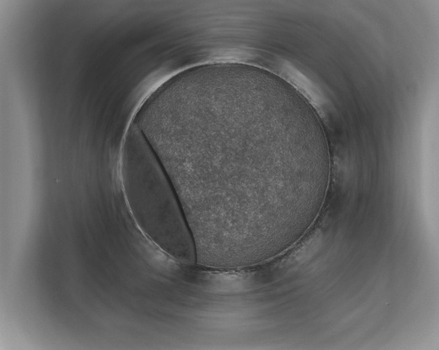 X0000110890948200906251315