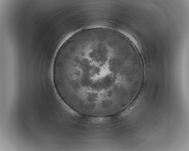 X0000110890949200906251315
