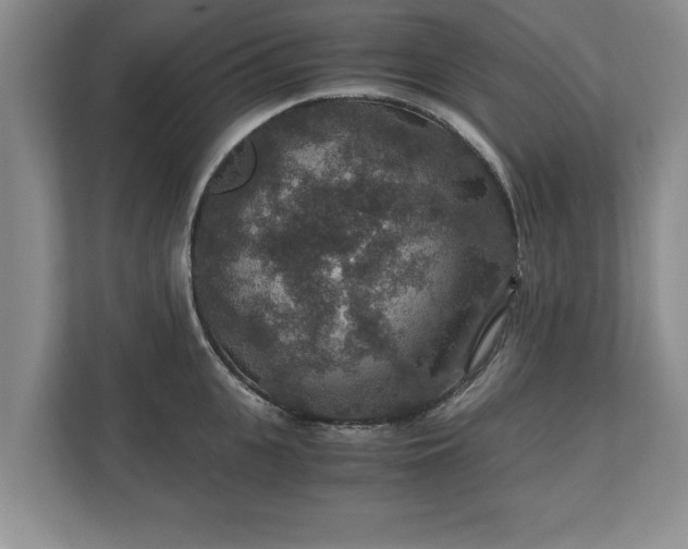 X0000110890951200906251315