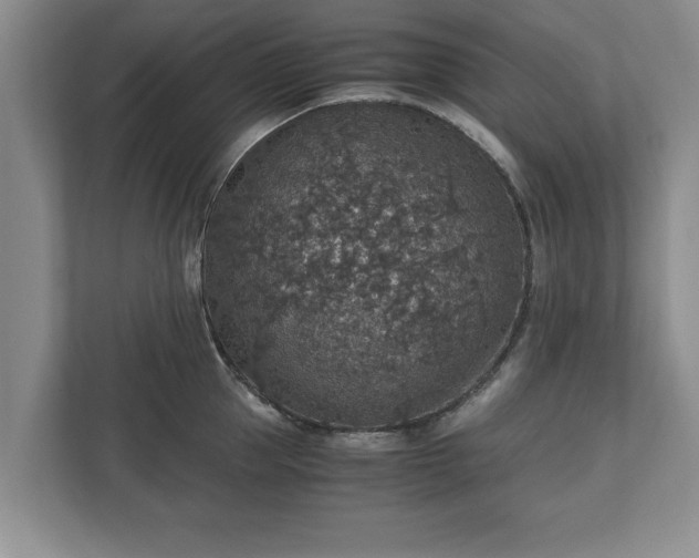 X0000110890953200906251315
