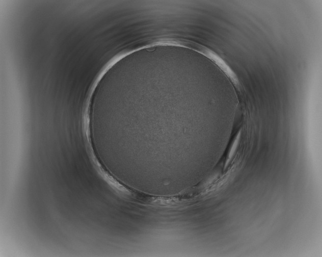 X0000110890955200906251315