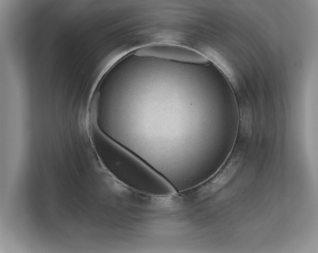 X0000110890956200906251315