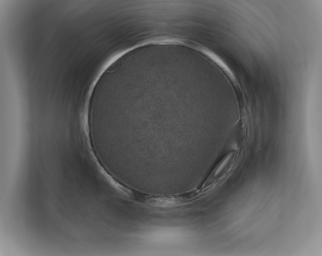 X0000110890959200906251315