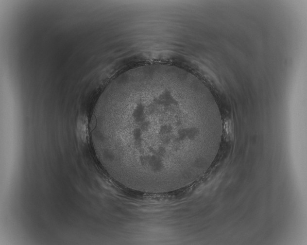 X0000110890963200906251314