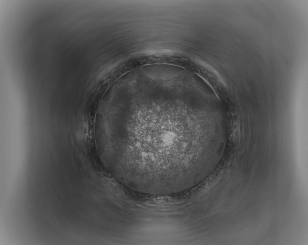 X0000110890966200906251314
