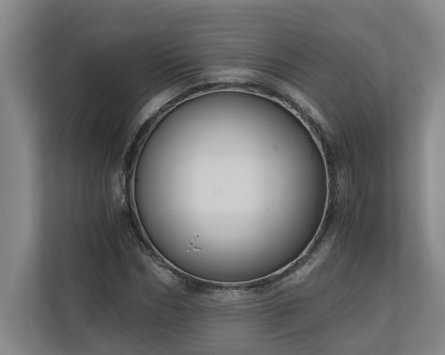 X0000110890970200906251314
