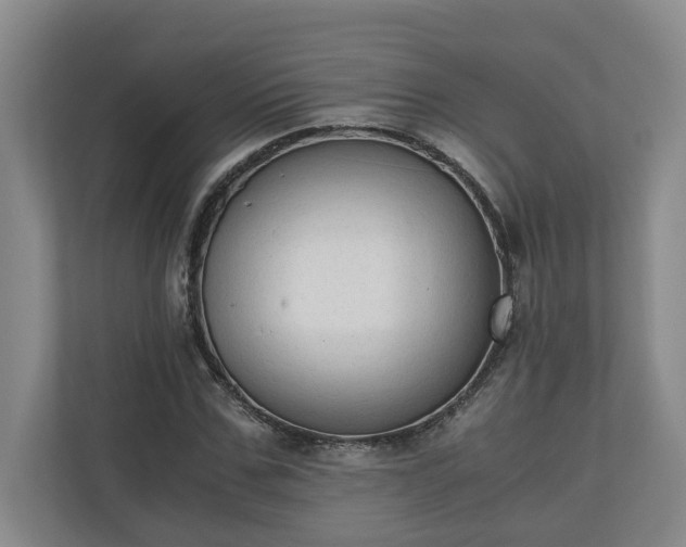 X0000110890971200906251314