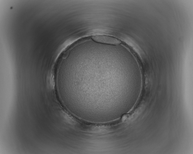X0000110890973200906251314