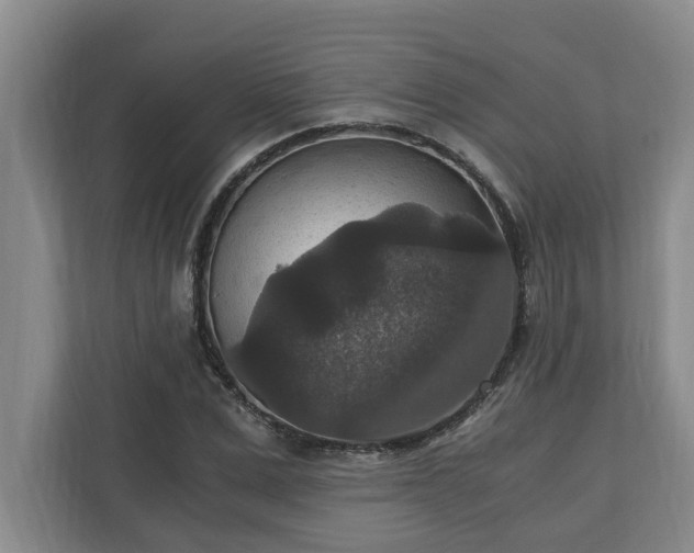 X0000110890975200906251314