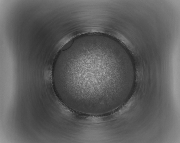 X0000110890977200906251314