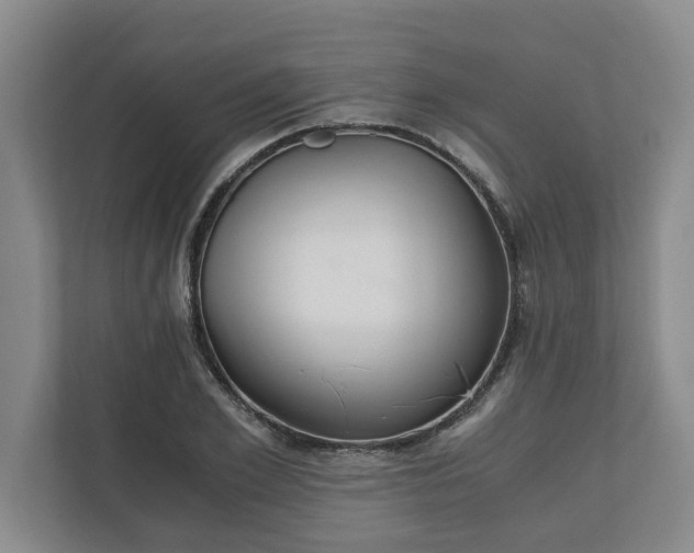 X0000110890981200906251314