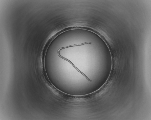 X0000110890982200906251314