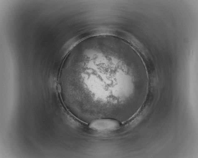 X0000110890985200906251314