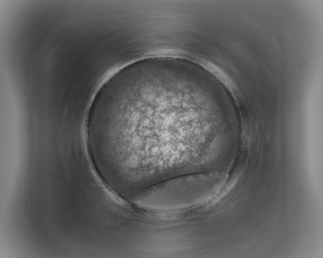 X0000110890989200906251314