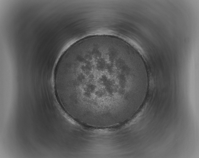 X0000110890990200906251314