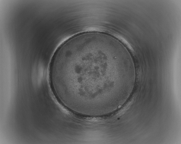 X0000110890991200906251314