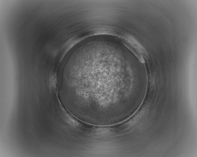 X0000110890993200906251314