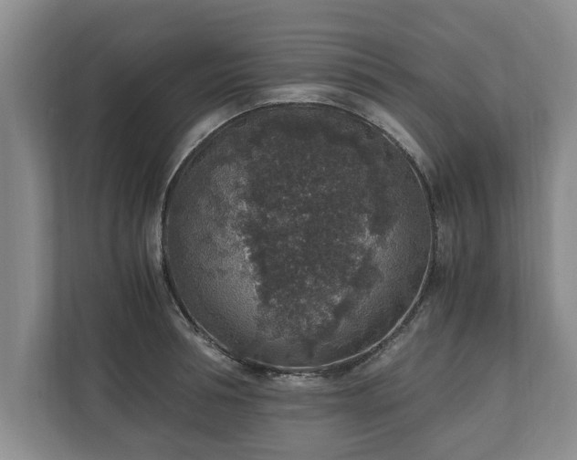 X0000110890994200906251314