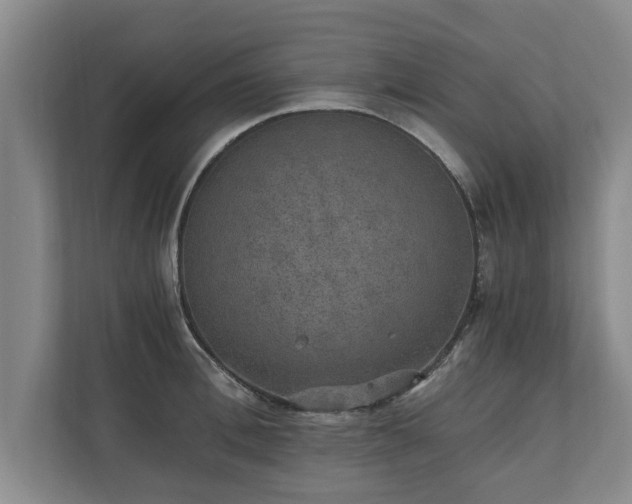 X0000110890996200906251314