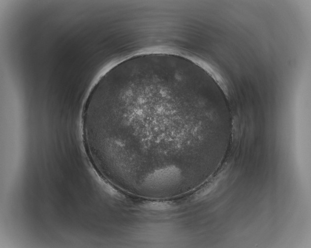 X0000110890998200906251314