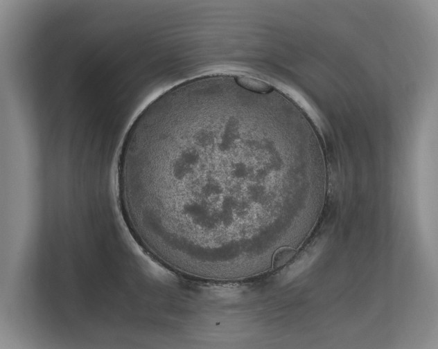 X0000110890999200906251314