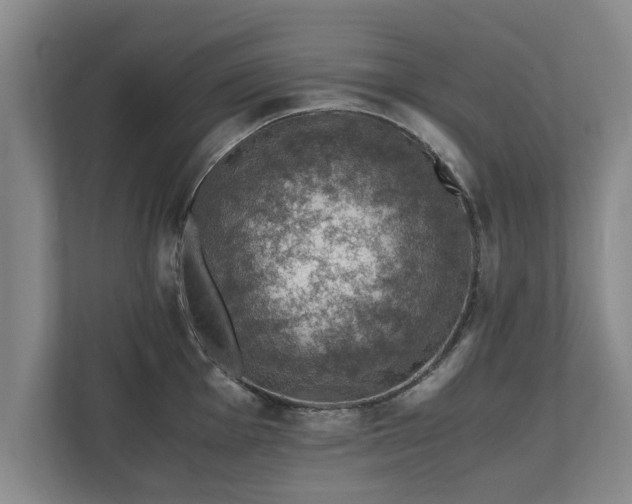 X0000110891001200906251314
