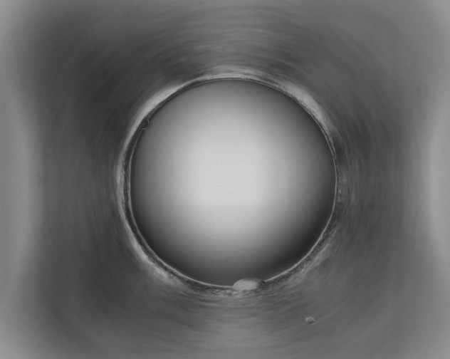 X0000110891003200906251314